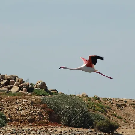 Lägenhet Candiano Palace